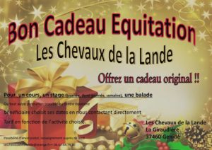 Noël approche à grands pas :             1Bon cadeau Equitation.